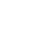 ZLV_icon_mobile-pentesting_white