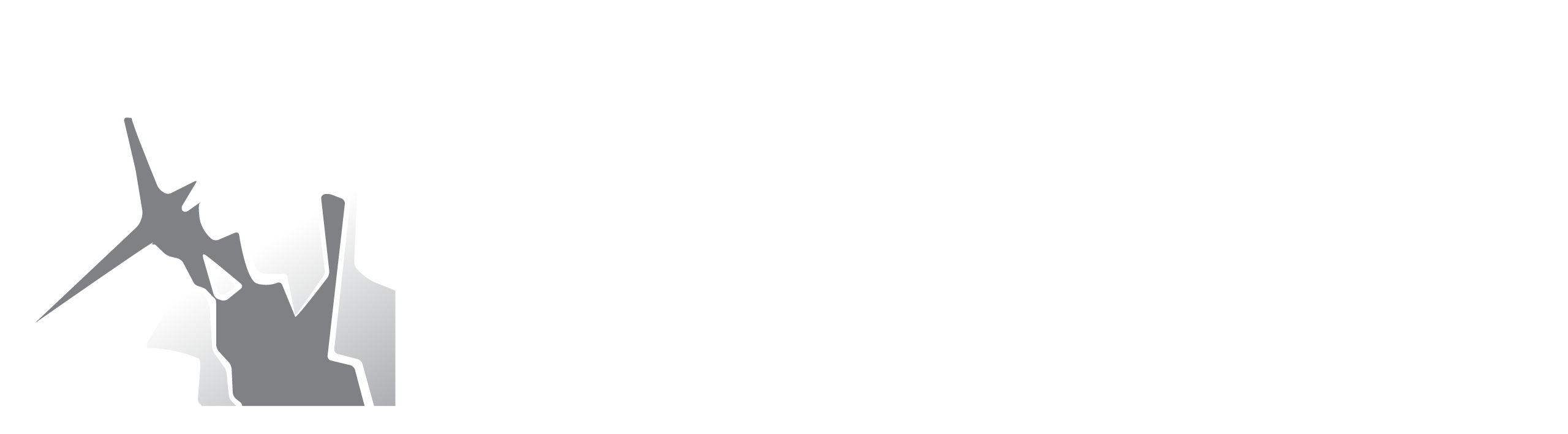 zelvin-security-logo-white-Revised-LG