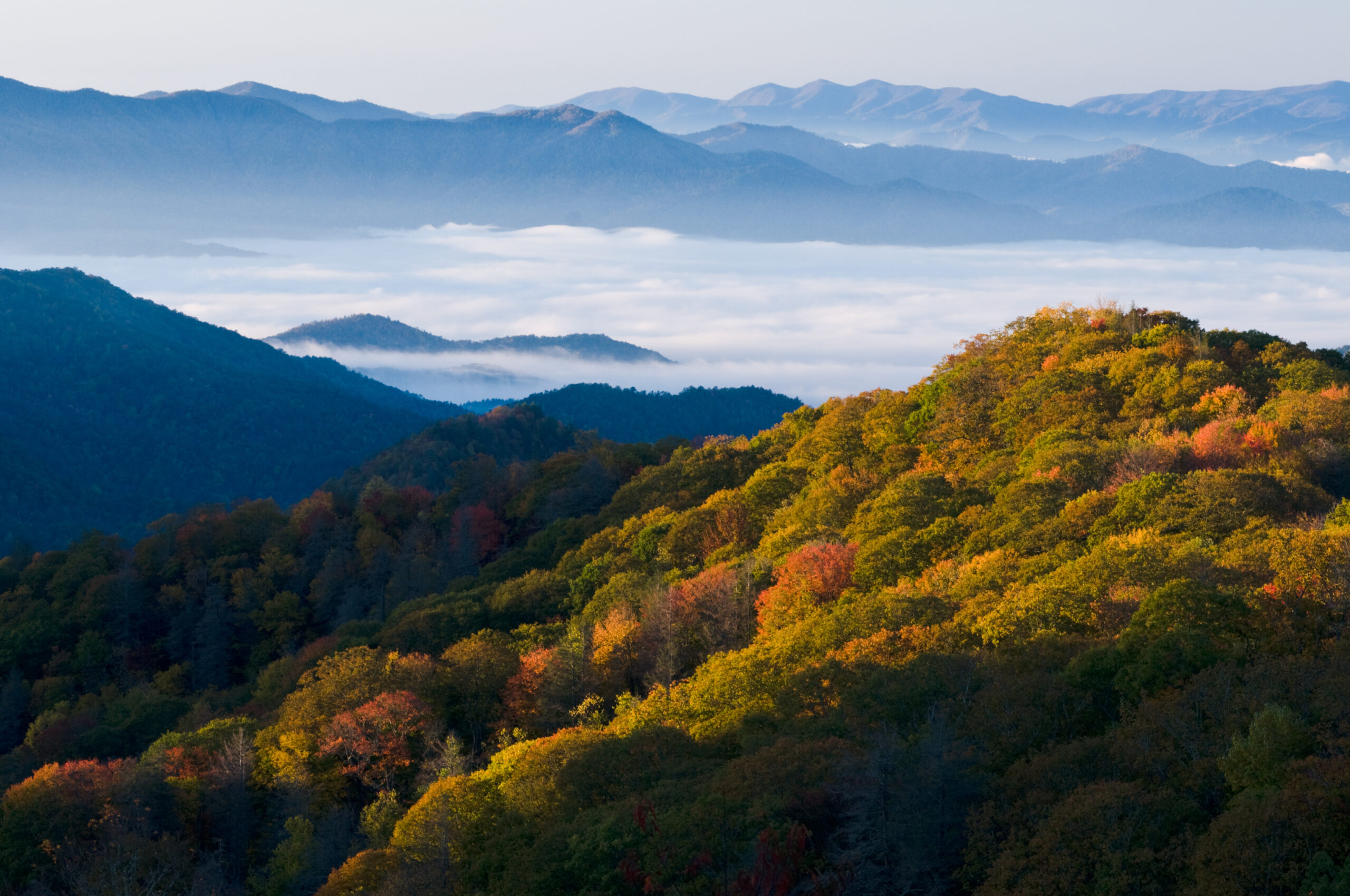 Fall,Colors,In,The,Smoky,Mountains,National,Park